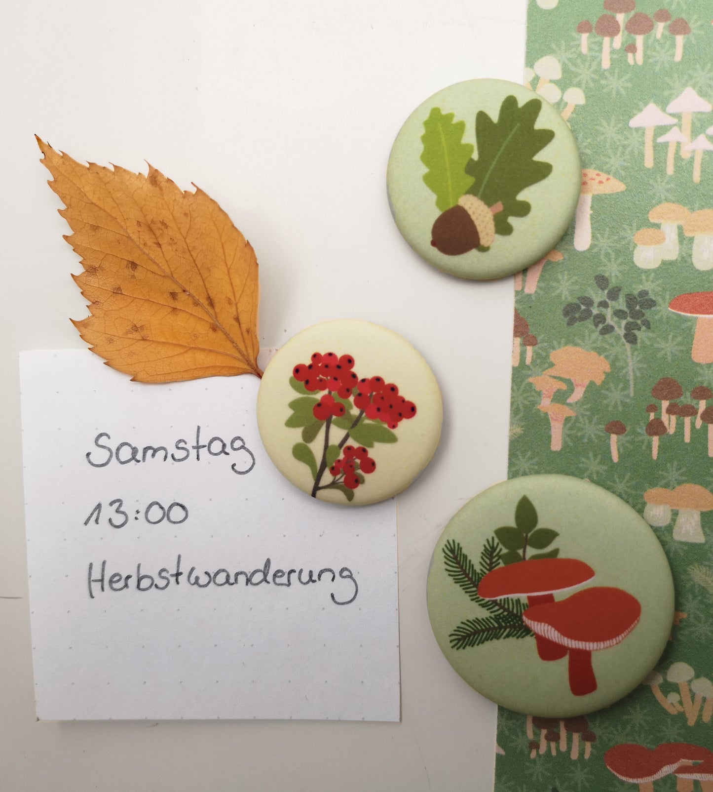 Magnetset „Herbst“