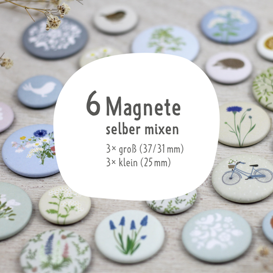 6 Magnete selber mixen (3× groß, 3× klein)